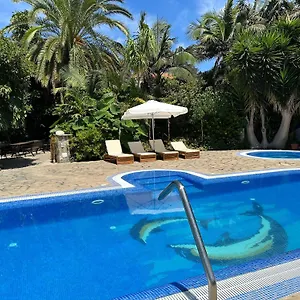 https://tijarafe-2.in-canary-islands.com